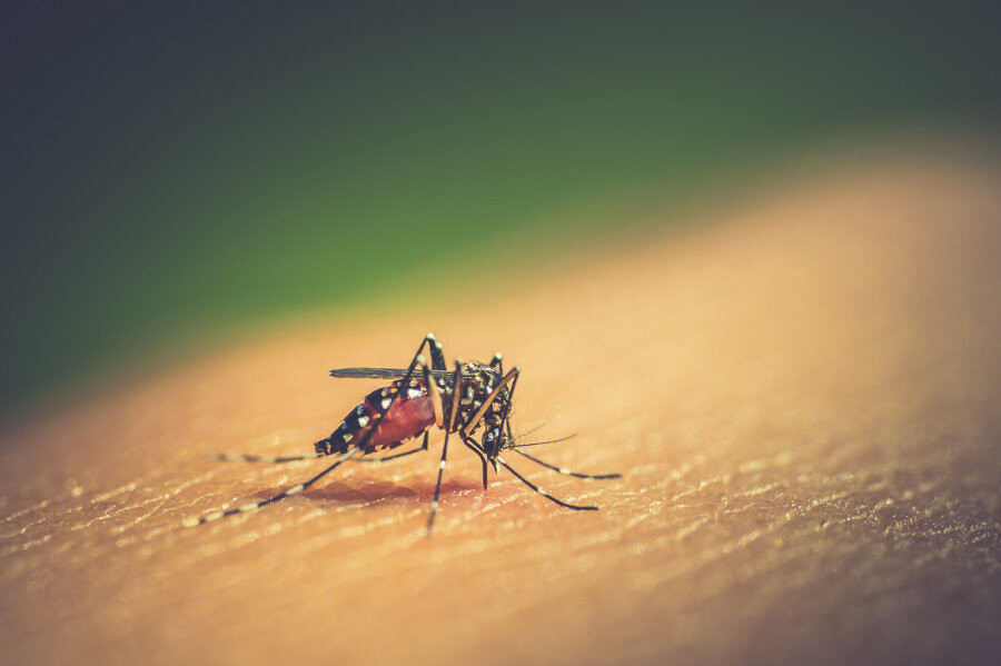 JE is surging and killing people, but Nepal has no vaccine
