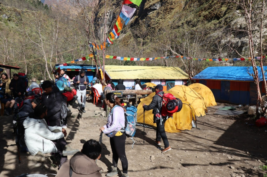 Tihar tourism rush fills Chitwan and Pokhara, but briefly