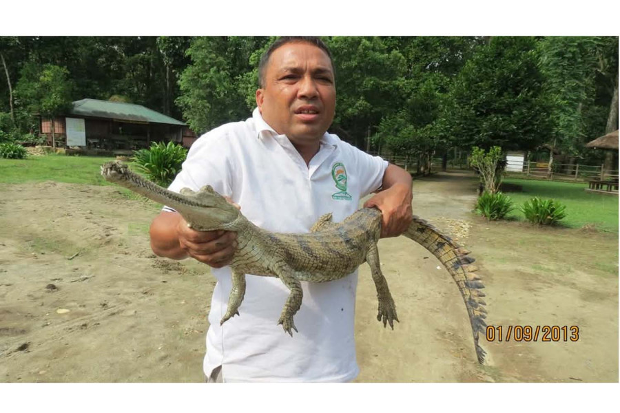 Farewell to a lifelong guardian of gharials