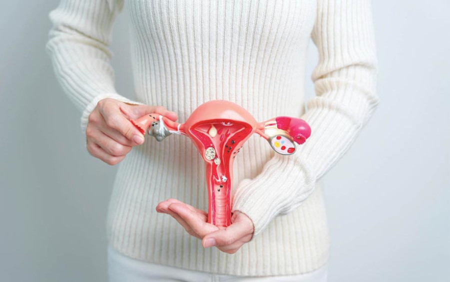 KMC to provide free cervical cancer screening, treatment at its health clinics