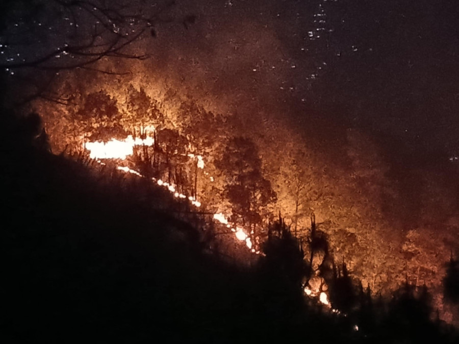 Wildfires rage in six forests in Dhankuta
