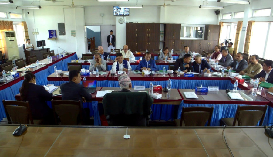 House panel tasked with watching over government sits idle