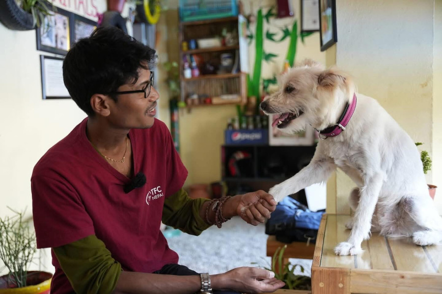 How a teashop is funding dog rescues across Nepal