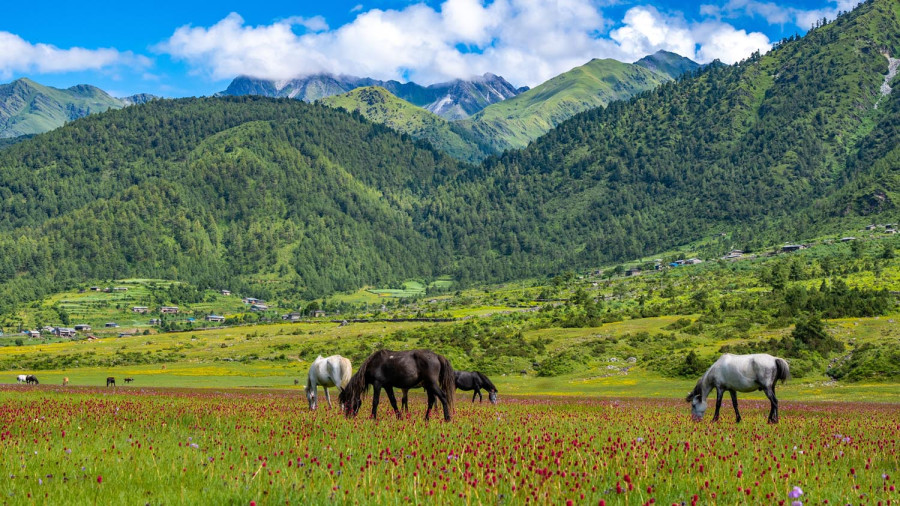 At Nepal’s only hunting reserve, tourism brings no joy