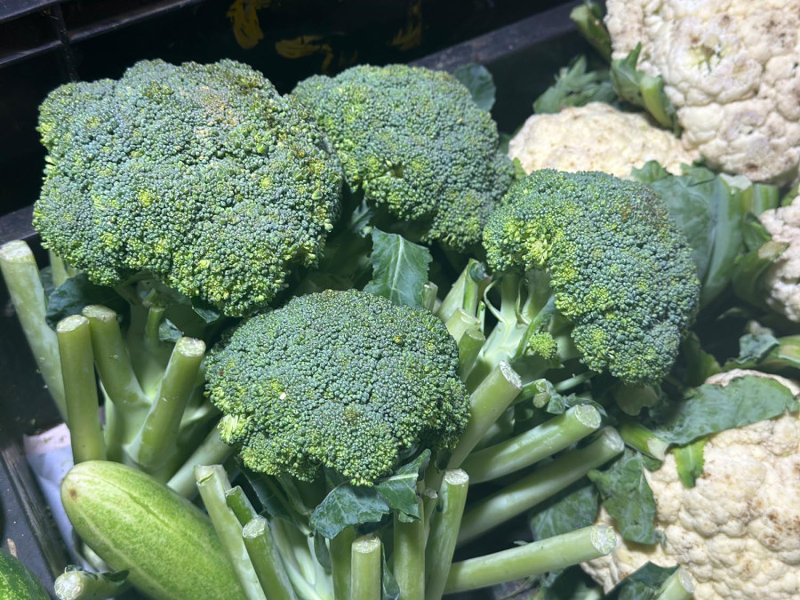 Banned pesticide found in broccoli, long yard beans, and bitter gourd