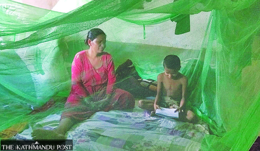 Nepal postpones malaria elimination deadline to 2030