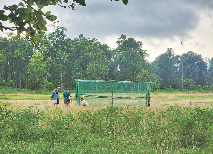 Conservationists track vultures with GPS device