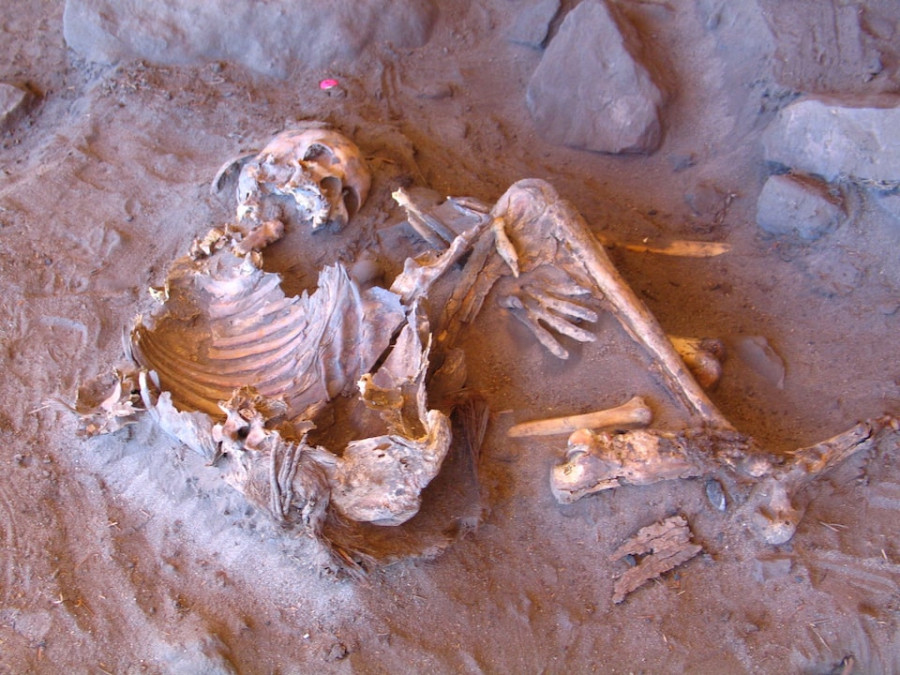 Sahara desert, once lush and green, was home to mysterious human lineage