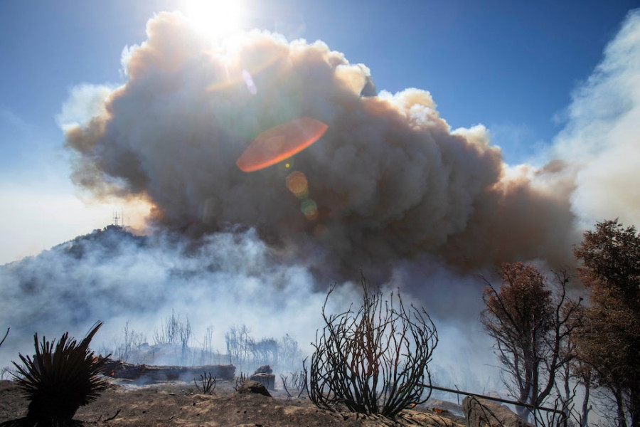 Los Angeles wildfires devour thousands of homes, death toll rises to 10