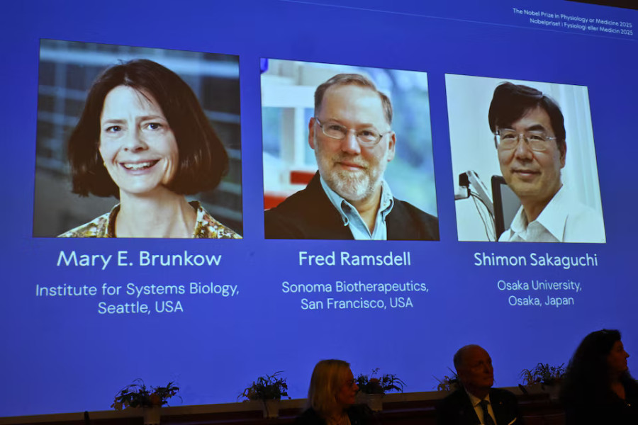 Brunkow, Ramsdell and Sakaguchi win Nobel medicine prize for immune discoveries